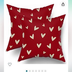 Valentines Day 20x20 pillow covers (pair)